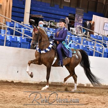 Witte Stables - Horseback Riding Near Me - Scottsdale, Arizona Witte Stables - Horseback Riding Near Me - Scottsdale, Arizona