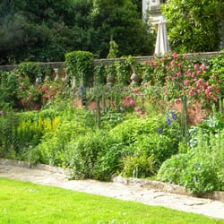 Anamchara Detox Retreats