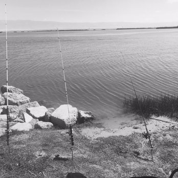 Buena Vista Lake - Lakes Near Me - Tupman, California
