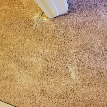 Carpet Maintenance Company - Closet before - Carpet Cleaning Near Me Carpet Maintenance Company - Closet before - Carpet Cleaning Near Me
