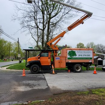 Arbor Accents - Tree removal with tree that grew into powerlines - Tree Services Near Me Arbor Accents - Tree removal with tree that grew into powerlines - Tree Services Near Me