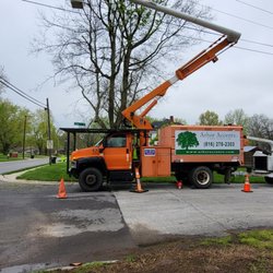 Arbor Accents - Tree removal with tree that grew into powerlines