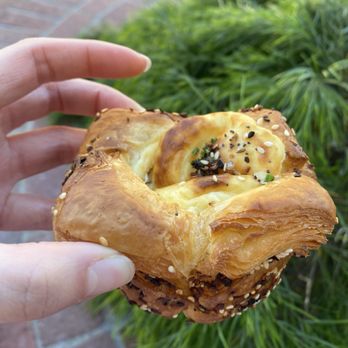 Backhaus - Everything cream cheese - Bakeries Near Me - San Mateo, California