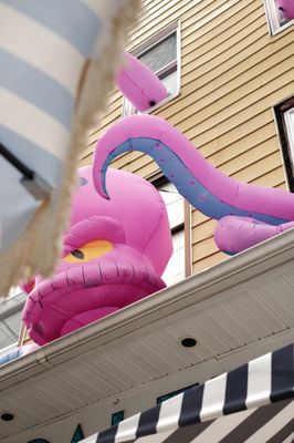 Scale Fish Market by null