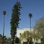 Photo of Vallejo City Park - Preservation