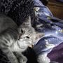 Photo of Hub City Humane Society
