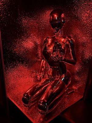 The Comfort Zone by null