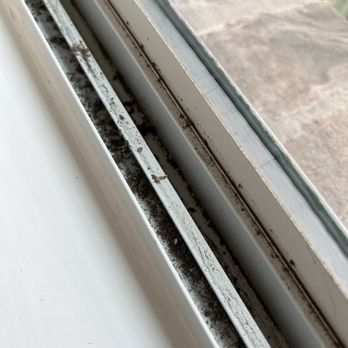 Squeaky Dans - Window Washing Near Me - San Antonio, Texas