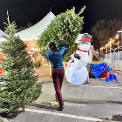 ABC Tree Farms