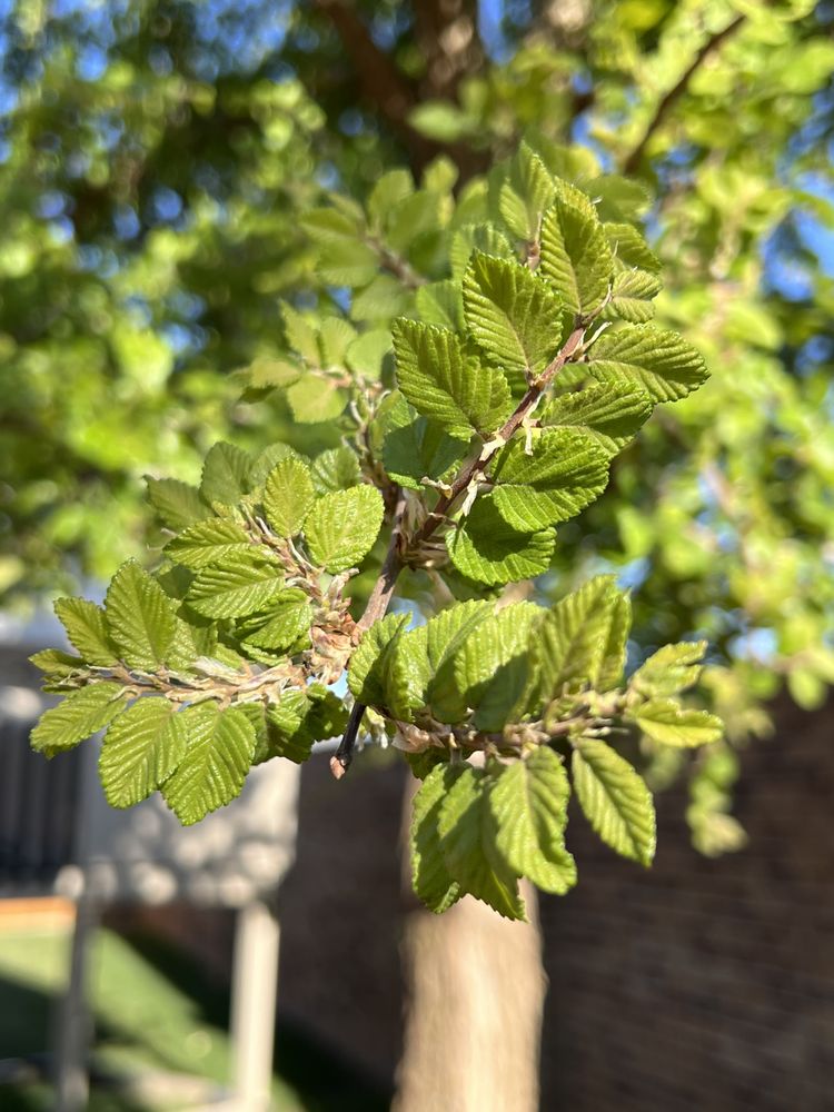 Slide of ACME Exteriors