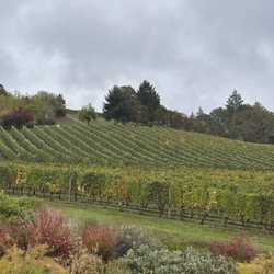 Backcountry Wine Tours