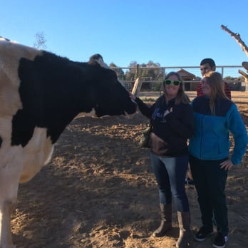 Farm Sanctuary - Animal Shelters Near Me - Acton, California Farm Sanctuary - Animal Shelters Near Me - Acton, California