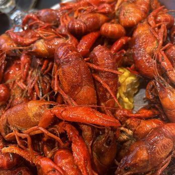Blue Iguana taco house - Crawfish! - Tex-Mex Near Me - Magnolia, Texas Blue Iguana taco house - Crawfish! - Tex-Mex Near Me - Magnolia, Texas