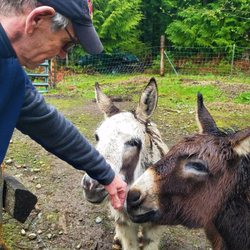 Egg & I Farm - Chip makes friends wherever he goes.