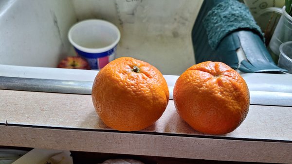 Trader Joe's by null