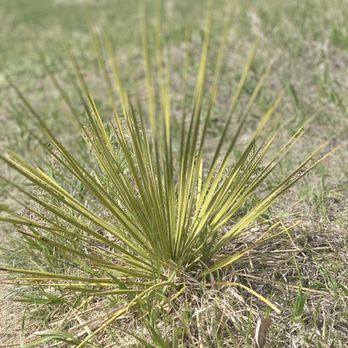 Cherry Creek State Park - Parks Near Me - Aurora, Colorado