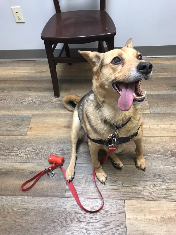 RIPLEY ANIMAL CLINIC Updated June 2024 30 Photos & 14 Reviews