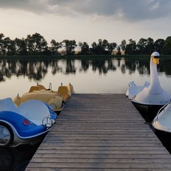 Lübschützer Teiche - Tretbootverleih