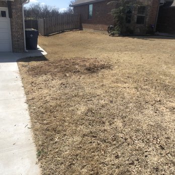 Urban Arborists - Tree Services Near Me Urban Arborists - Tree Services Near Me