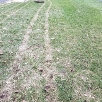TruGreen Lawn Care - This is across my entire 1/2 acre lawn. - Tree Services Near Me - Rochester, New York TruGreen Lawn Care - This is across my entire 1/2 acre lawn. - Tree Services Near Me - Rochester, New York