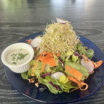 Sage Restaurant - Sprout salad - Vegetarian Near Me - Durham, North Carolina