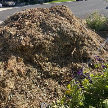 Mark Remove All Junk - Mulch/wood pulp - Junk Removal & Hauling Near Me Mark Remove All Junk - Mulch/wood pulp - Junk Removal & Hauling Near Me