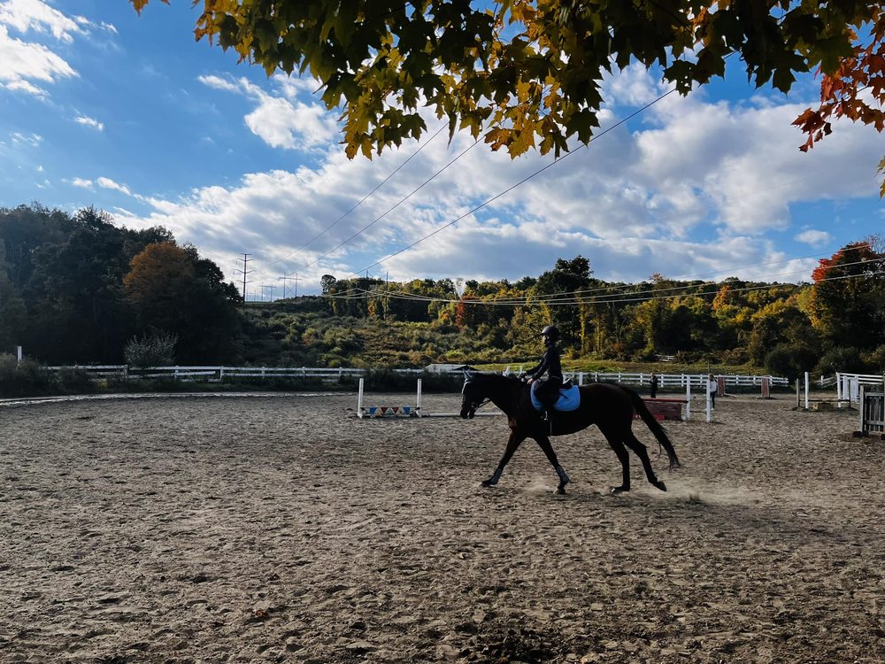 Another Farm - equestrian in Woodbury, CT