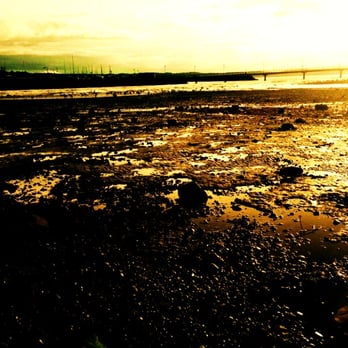 Saltwater State Park - Parks Near Me - Des Moines, Washington Saltwater State Park - Parks Near Me - Des Moines, Washington