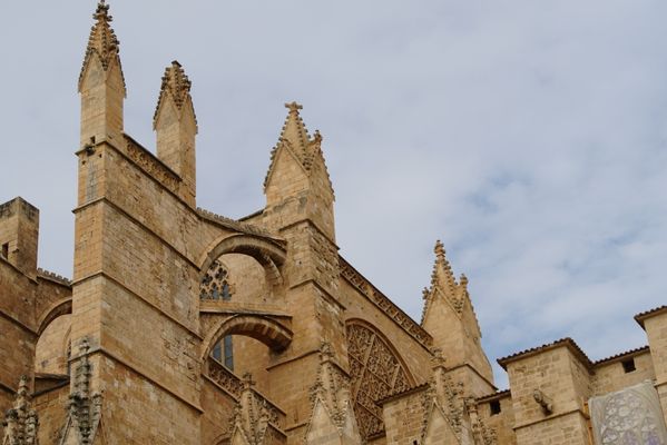 Catedral-Basílica de Santa María de Mallorca by null