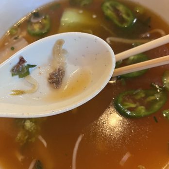 Pho Saigon 8 - Supposed veggie broth - Vietnamese Near Me - Las Vegas, Nevada Pho Saigon 8 - Supposed veggie broth - Vietnamese Near Me - Las Vegas, Nevada