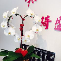 Flora Permanent Beauty Center