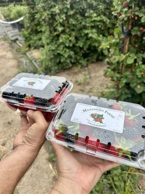 The Original Manassero Farms Market - Irvine by null