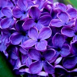 Sunkiss's Readings - Lets find your inner light