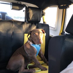 Sierra Vista Animal Care & Control