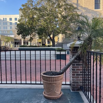 Amelia's - View. Terrace needs painting - Italian Near Me - Gainesville, Florida