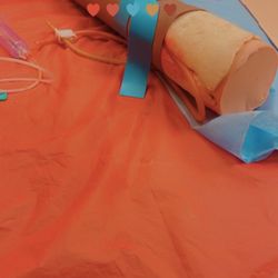 Elise Phlebotomy Training Center