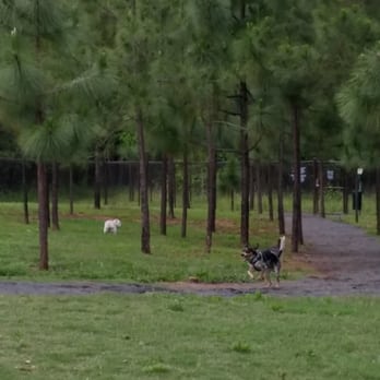 Mary Warner Mack Dog Park - Rocky running on the trail in the large play area. There is another trail area that is great! - Dog Parks Near Me - Fort Mill, South Carolina Mary Warner Mack Dog Park - Rocky running on the trail in the large play area. There is another trail area that is great! - Dog Parks Near Me - Fort Mill, South Carolina