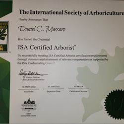Off The Top Tree Service - Certified Arborist
NY 662-1A