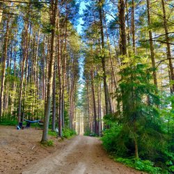 Pog Lake Campground