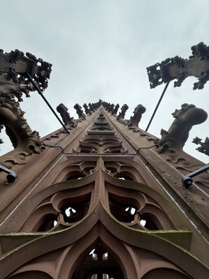 Basler Münster by null