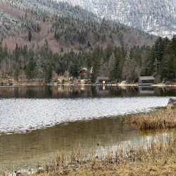 Genuss Gasthaus Kohlröserlhütte