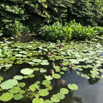 Creation Museum - Museums Near Me - Petersburg, Kentucky