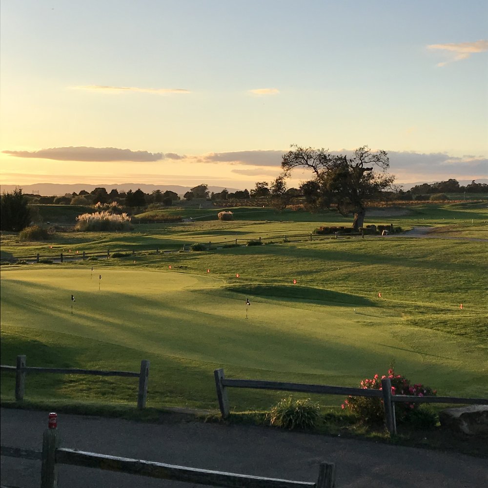 The Swing Doctor, Ray Graziani Logo