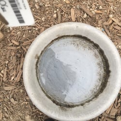 Cathedral City Dog Park