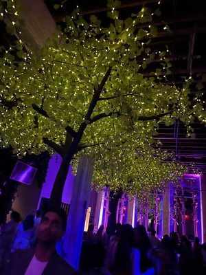 Parq Nightclub by null