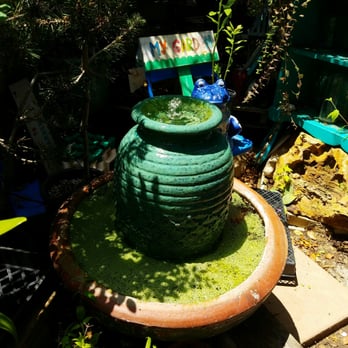 Plantplay Gardens - Nurseries & Gardening Near Me - Oceanside, California Plantplay Gardens - Nurseries & Gardening Near Me - Oceanside, California