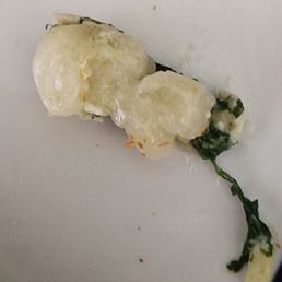 Chicken fat. I had to spit it out because I didn't even know what I was chewing. Ate only a small portion of my $25.00 chicken linguini. Chicken fat. I had to spit it out because I didn't even know what I was chewing. Ate only a small portion of my $25.00 chicken linguini.