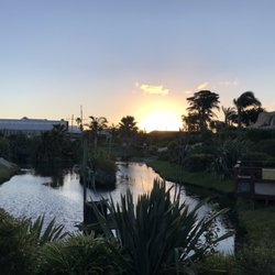 Treasure Island Golf