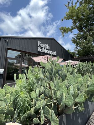 Forth & Nomad by null