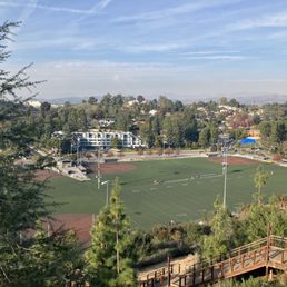 Lions Field